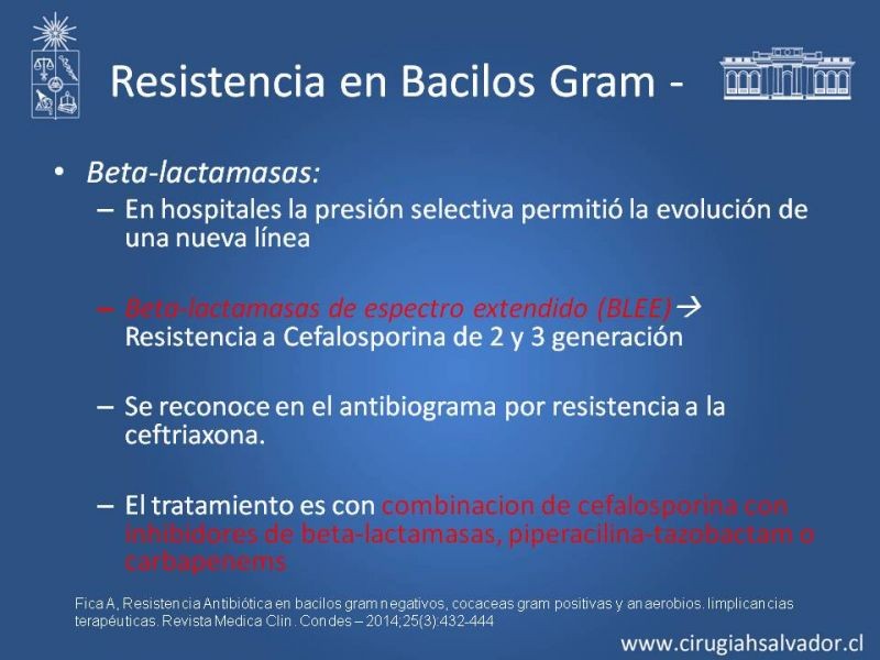 Diapositiva 9 de Bacterias Resistentes y Nuevos Antibióticos