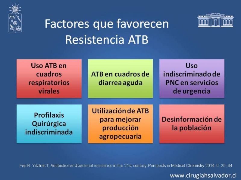 Diapositiva 3 de Bacterias Resistentes y Nuevos Antibióticos