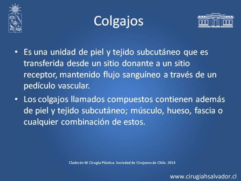 Diapositiva 3 de Colgajos Microquirúrgicos