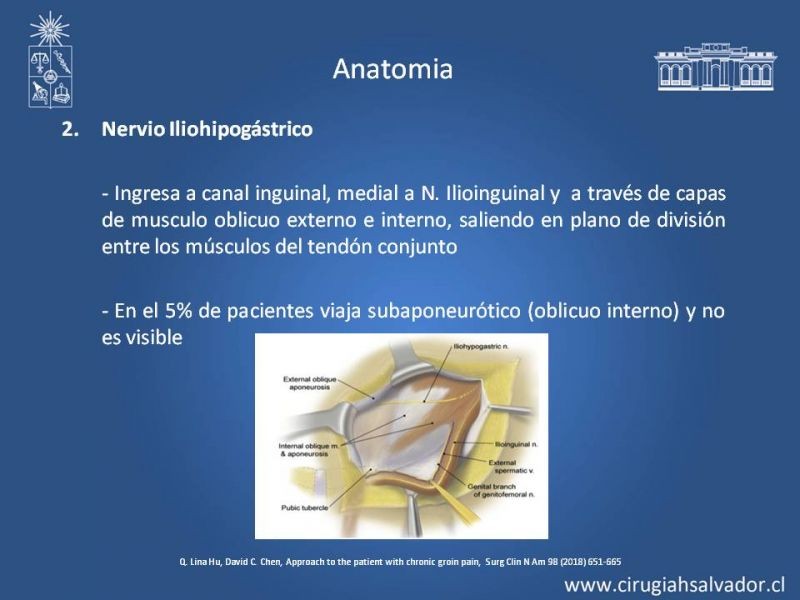 Diapositiva 13 de Manejo de Inguinodinia post Hernioplastía Inguinal