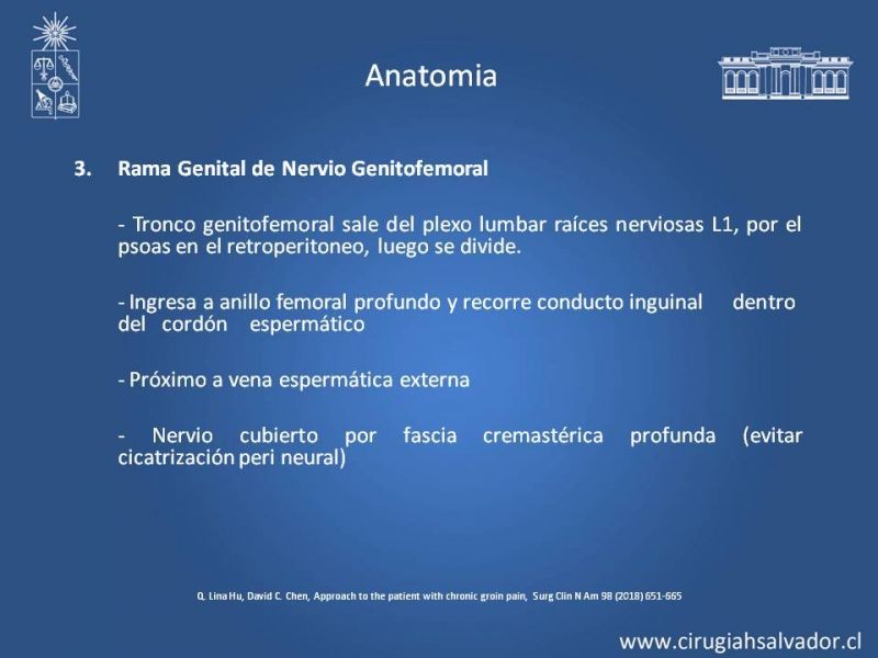 Diapositiva 14 de Manejo de Inguinodinia post Hernioplastía Inguinal