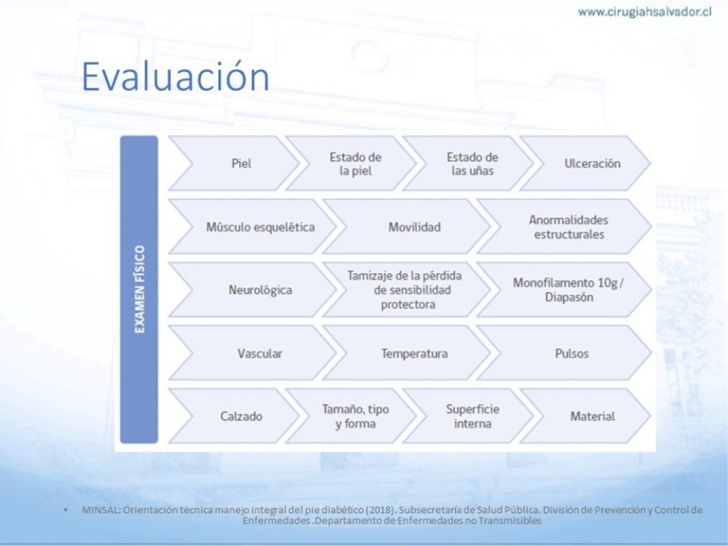 Diapositiva 8 de Manejo del Pie diabético