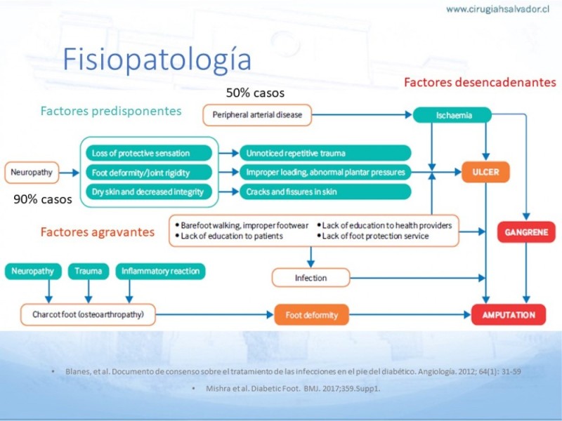 Diapositiva 4 de Manejo del Pie diabético
