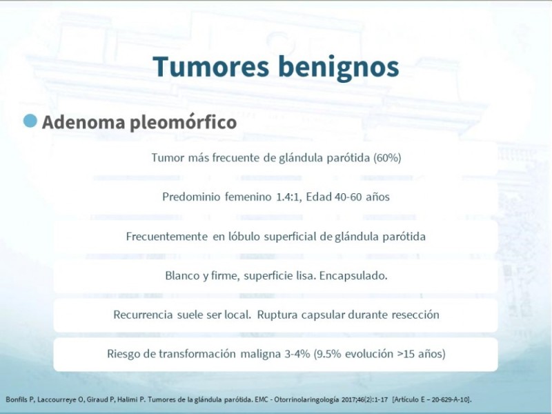 Diapositiva 13 de Tumores de Parótida