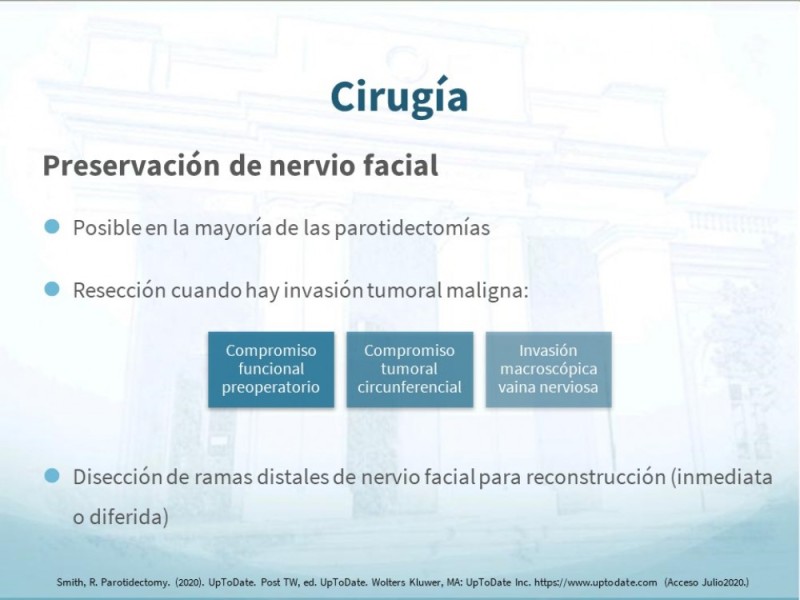 Diapositiva 24 de Tumores de Parótida