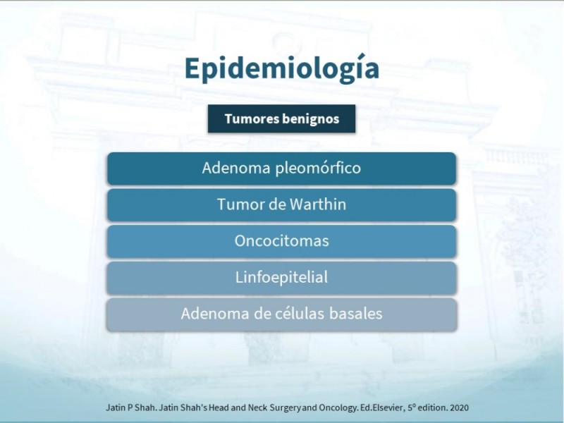 Diapositiva 5 de Tumores de Parótida