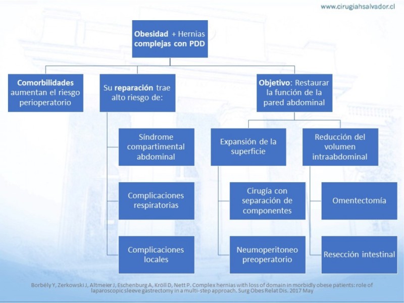 Diapositiva 24 de Cirugía bariátrica como puente en pacientes obesos con hernias complejas