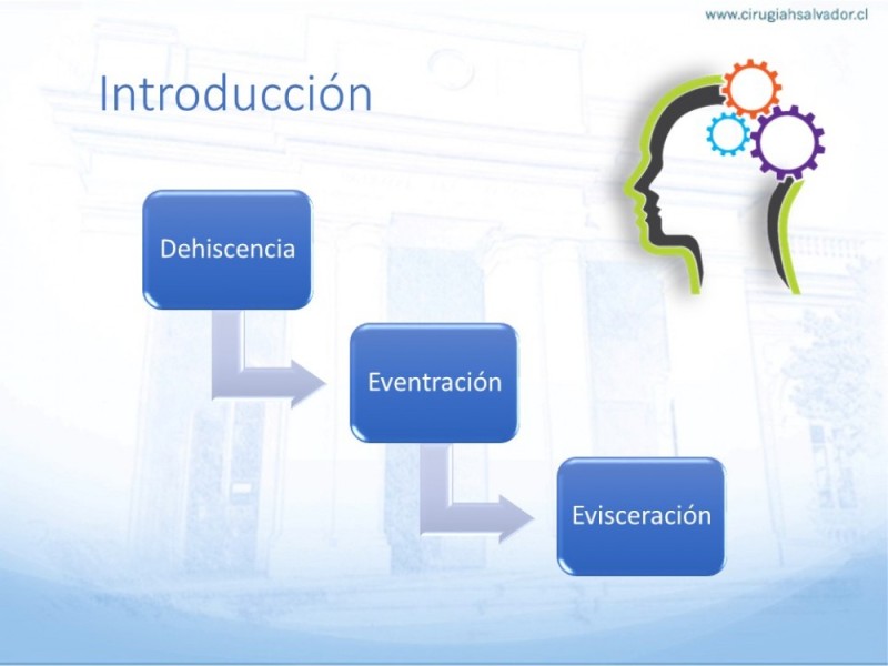 Diapositiva 3 de Manejo de la Evisceración