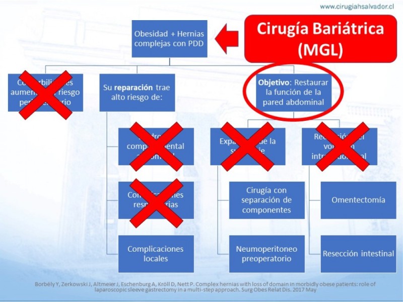 Diapositiva 29 de Cirugía bariátrica como puente en pacientes obesos con hernias complejas