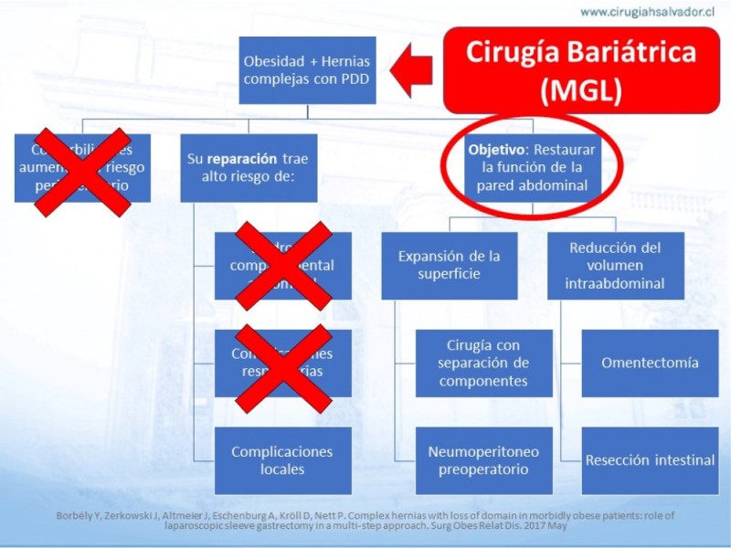 Diapositiva 28 de Cirugía bariátrica como puente en pacientes obesos con hernias complejas