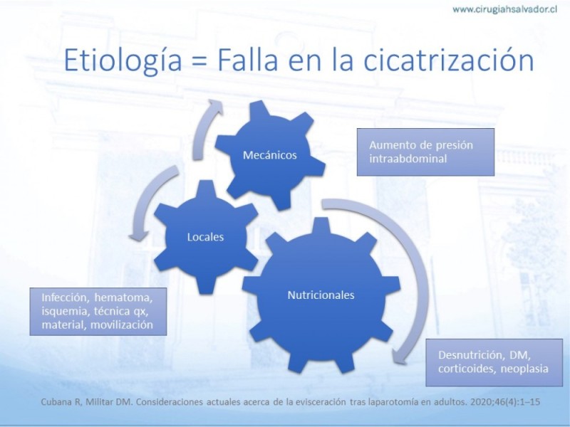 Diapositiva 14 de Manejo de la Evisceración