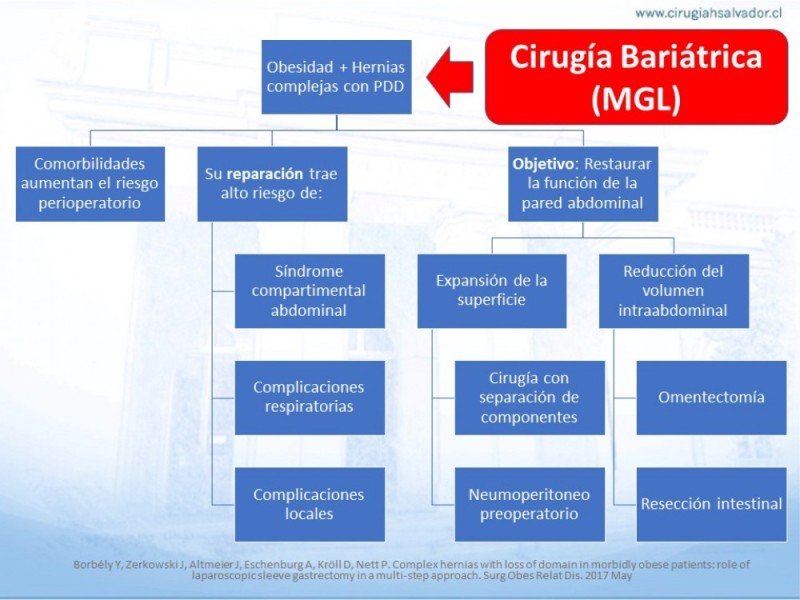 Diapositiva 25 de Cirugía bariátrica como puente en pacientes obesos con hernias complejas