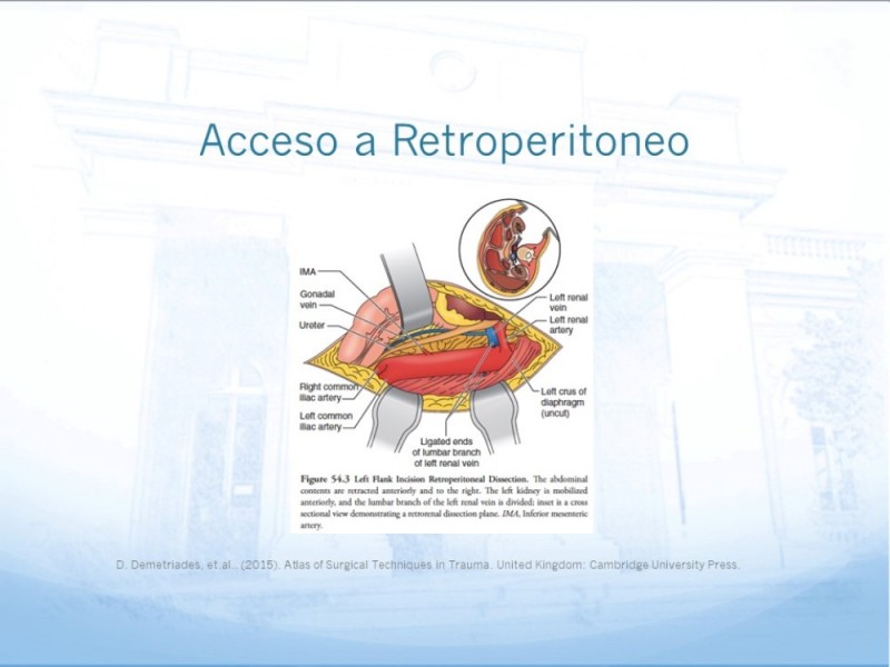 Diapositiva 26 de Manejo quirúrgico del pseudoaneurisma de extremidades