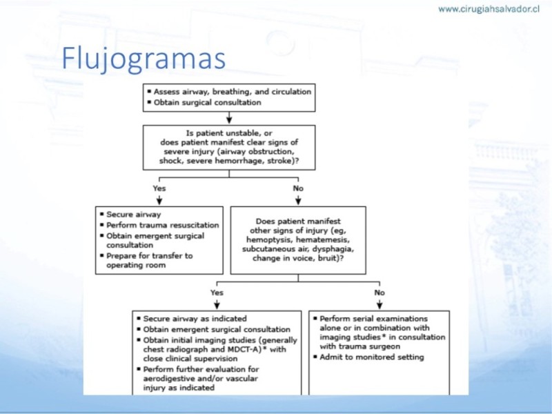 Diapositiva 11 de Trauma vascular cervical