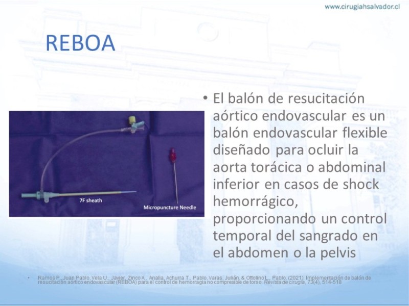 Diapositiva 31 de Aneurisma Aorta Abdominal: Abordaje infrarrenal - clamp supracelíaco