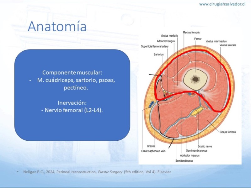 Diapositiva 5 de Reconstrucción miembro inferior