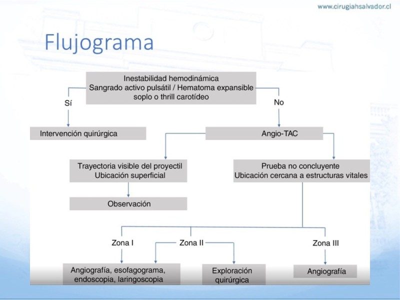 Diapositiva 12 de Trauma vascular cervical