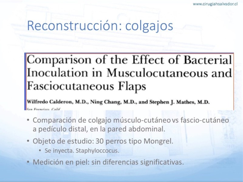 Diapositiva 27 de Reconstrucción miembro inferior