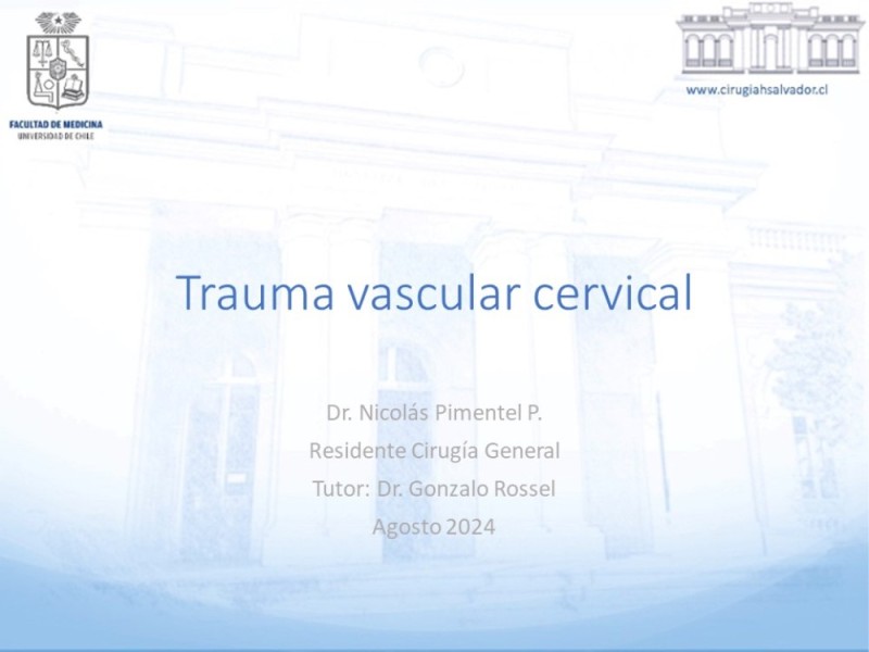 Diapositiva 22 de Trauma vascular cervical