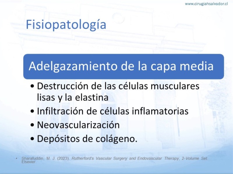 Diapositiva 7 de Aneurisma Aorta Abdominal: Abordaje infrarrenal - clamp supracelíaco