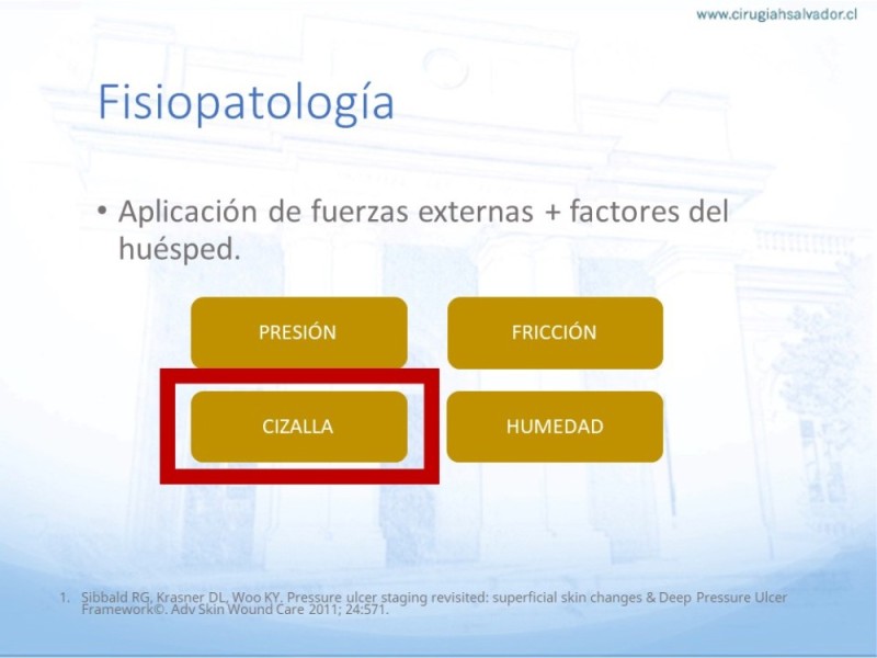Diapositiva 6 de Lesiones por presión