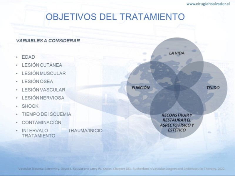 Diapositiva 7 de Trauma Vascular en Extremidad Severamente Lesionada Técnicas de reparación