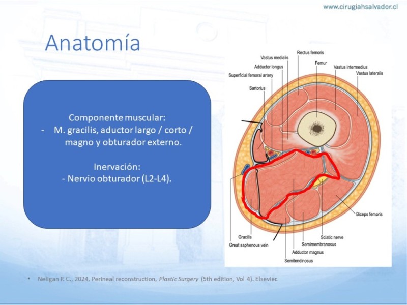 Diapositiva 6 de Reconstrucción miembro inferior