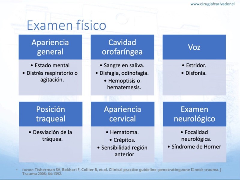 Diapositiva 8 de Trauma vascular cervical