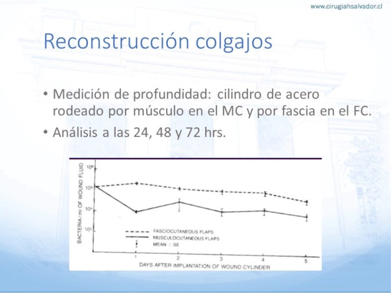 Diapositiva 28 de Reconstrucción miembro inferior