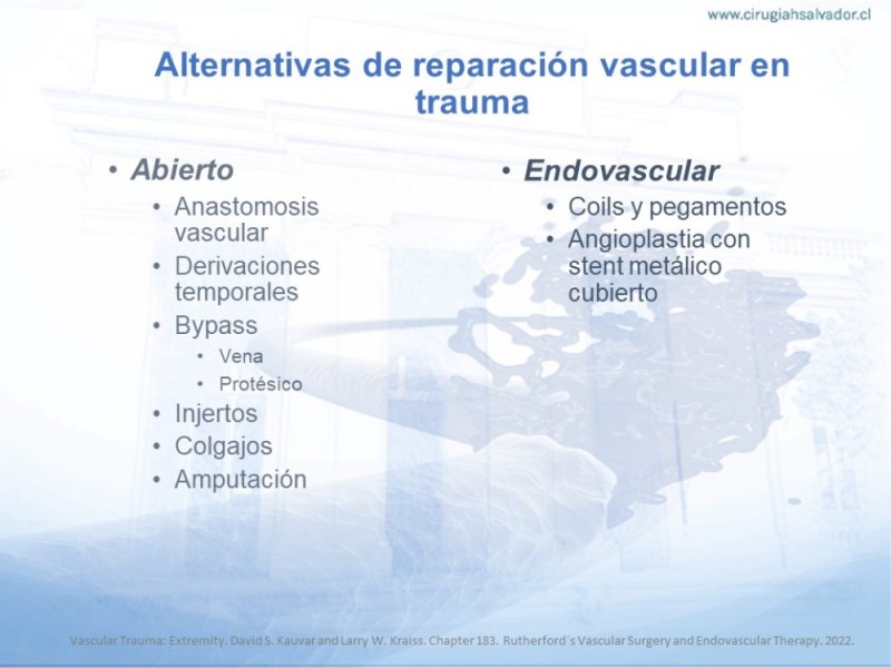 Diapositiva 8 de Trauma Vascular en Extremidad Severamente Lesionada Técnicas de reparación