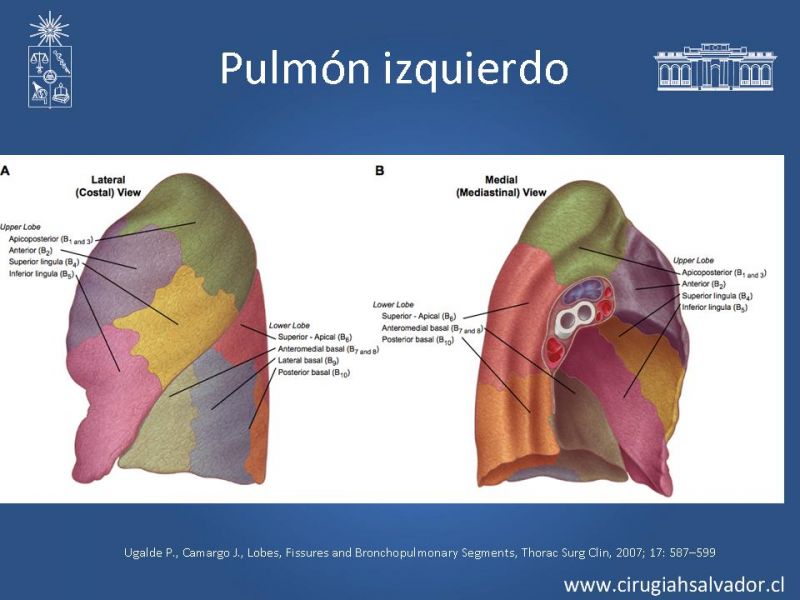 Presentaciones Depto Cirug a Hospital Del Salvador